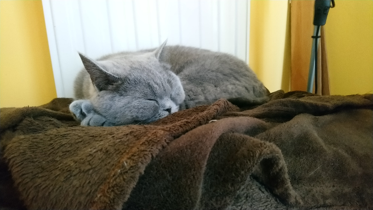 5f563381-1cc3-4b47-b91e-6d6fad269542