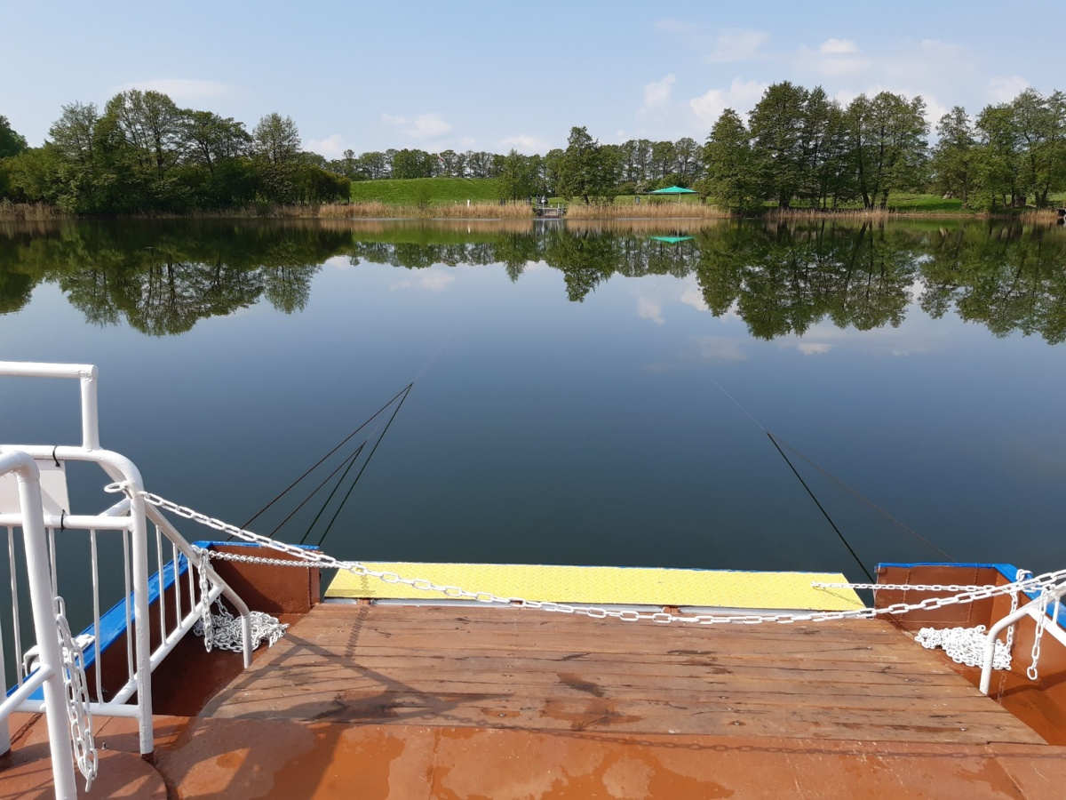 aa1d506b-3a2c-4698-a40e-6fd9bfe9b55d