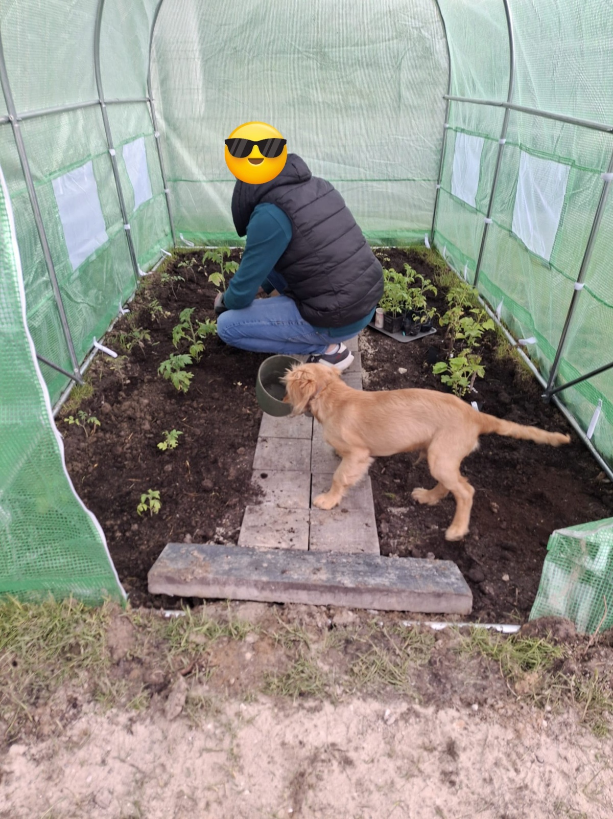 6e360e7b-0224-4945-8c28-7f6a189711ca