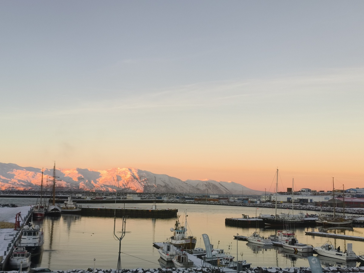 872b131c-c5cd-4d30-ab52-329196ddc5b3