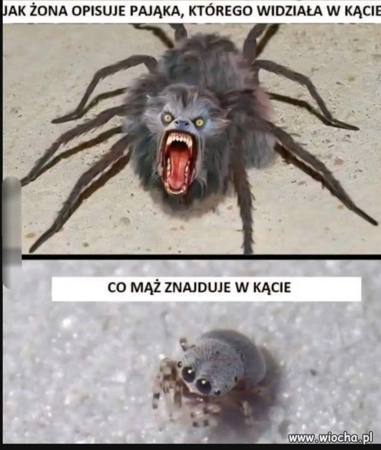 b8ce9094-830f-424d-b5eb-20d4f171759e