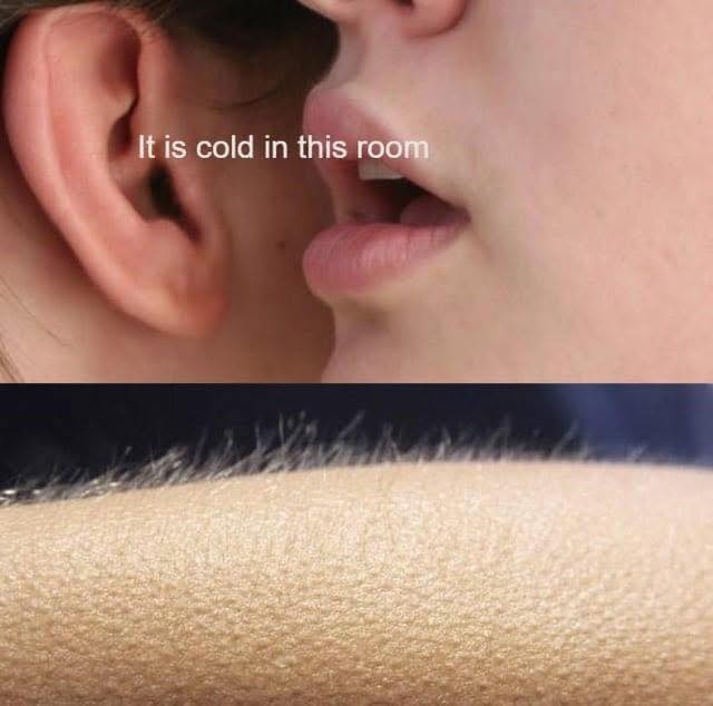 3eae526c-9b9d-43ca-8452-ff25b7de199a