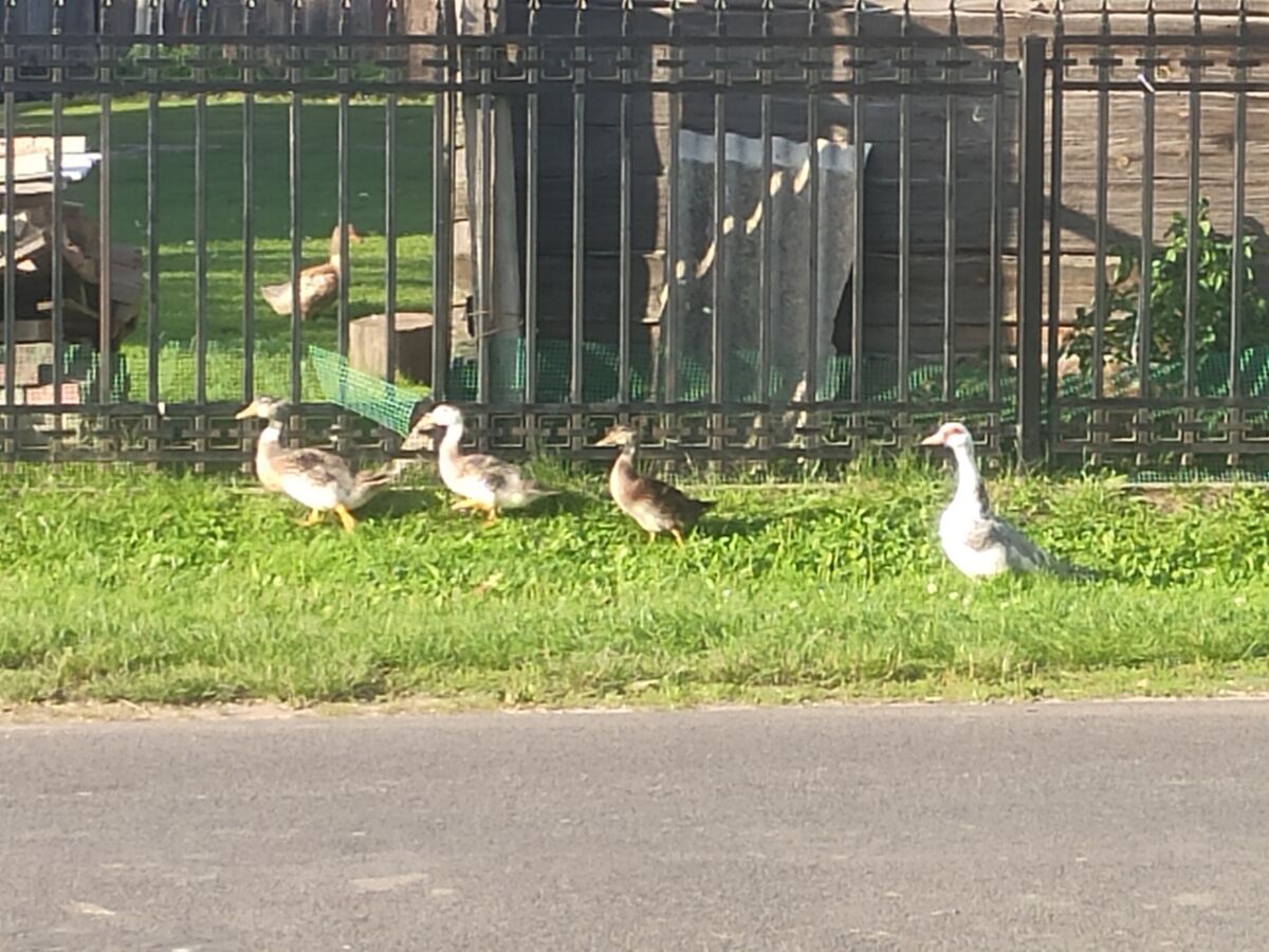 4bd429e9-58fb-499d-a97b-6ced81728f62