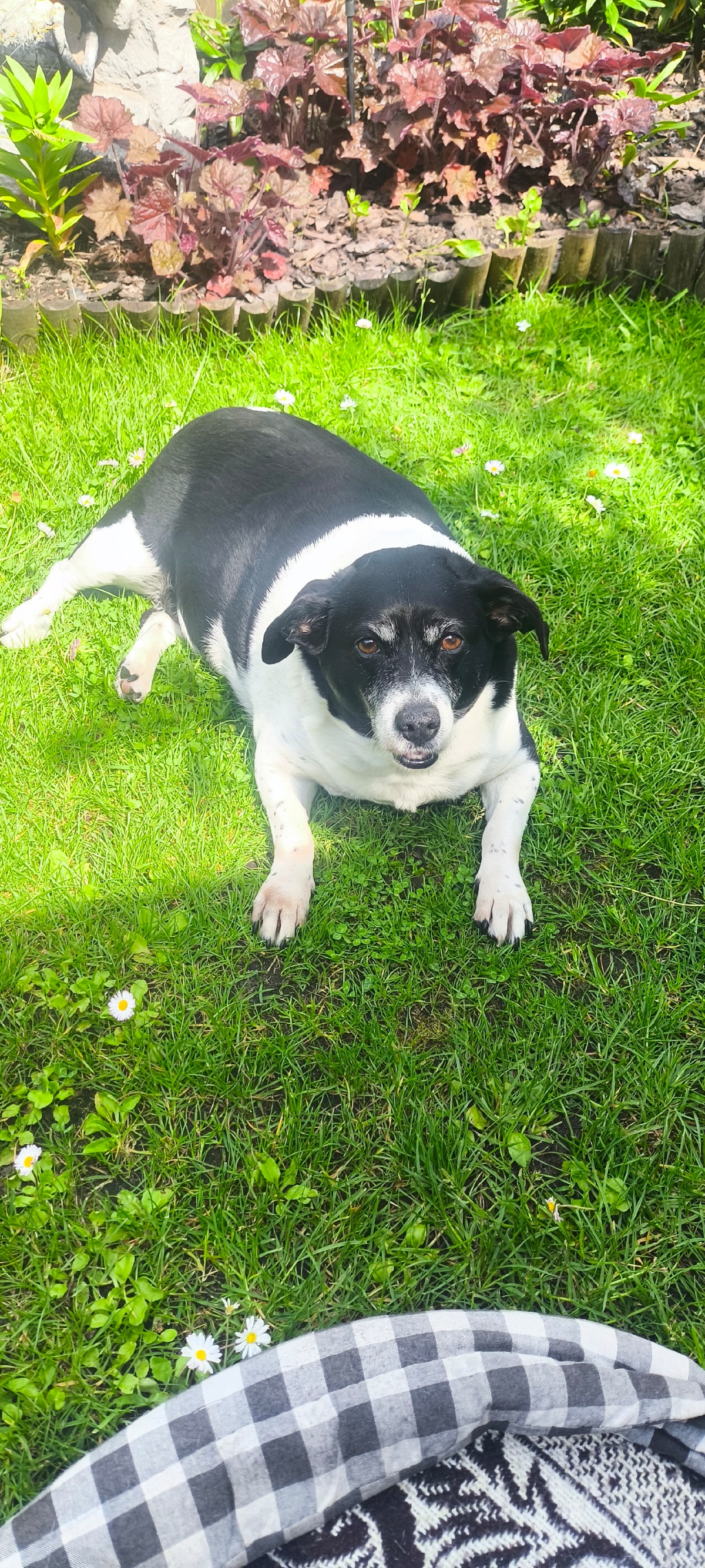 ea29f609-ac6c-47b8-97e3-95868c47b8da