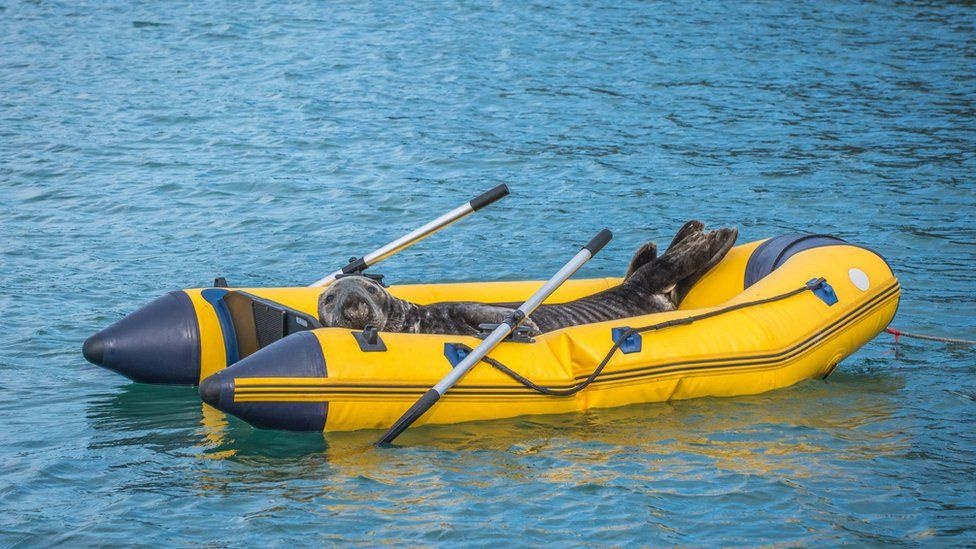 0c8c17ae-e48e-4cc0-8241-6e2dc7e05616