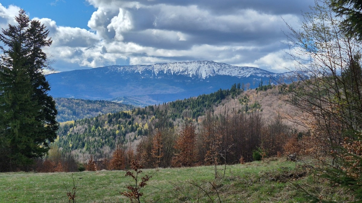 5e3f28a9-456e-43cc-8c74-1da0e251a1f6