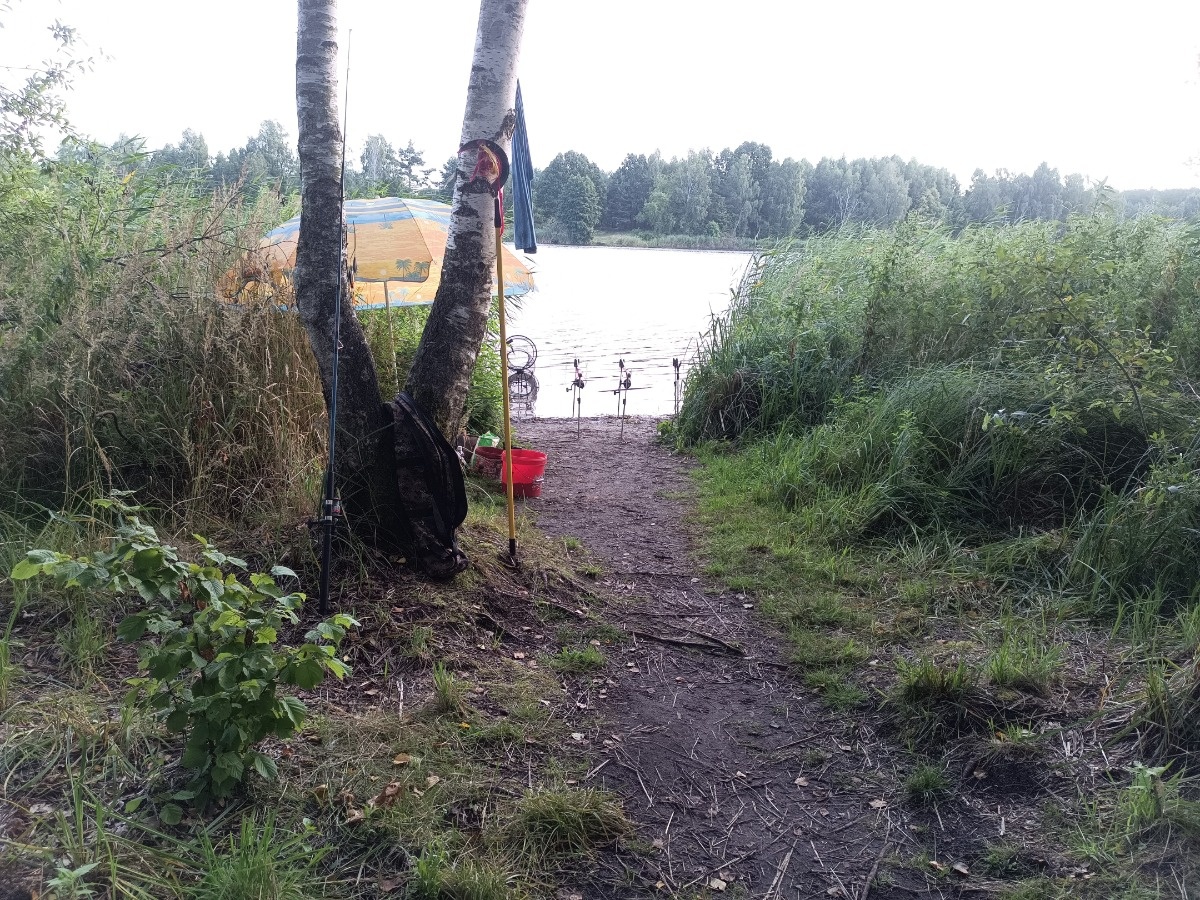 43fb7214-3e1c-42b9-b512-570850f1cb79