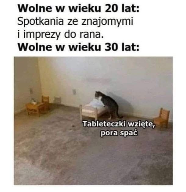 ca00d369-4af9-4f78-b39c-f1a02211a1ed