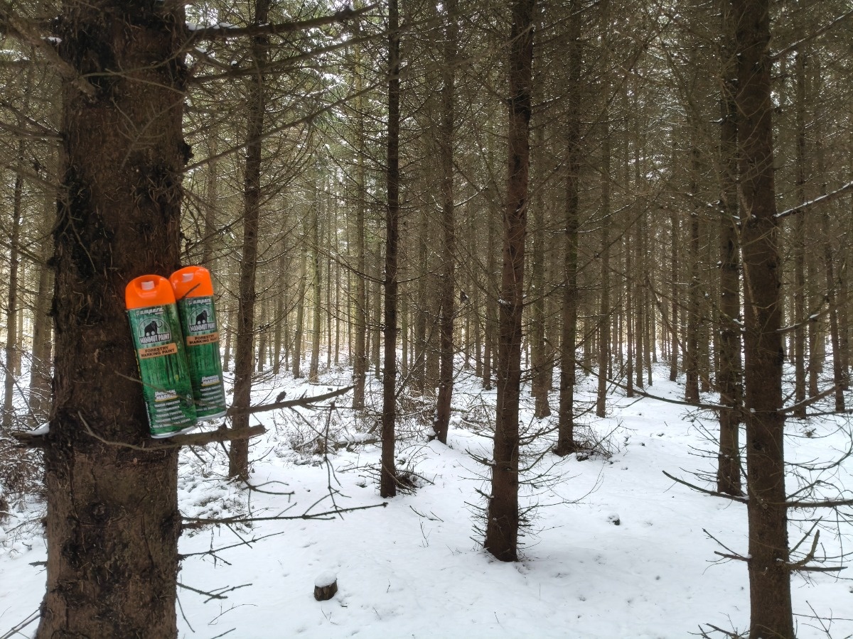 dea0d2f5-012c-40b7-9b52-7d607781e46e