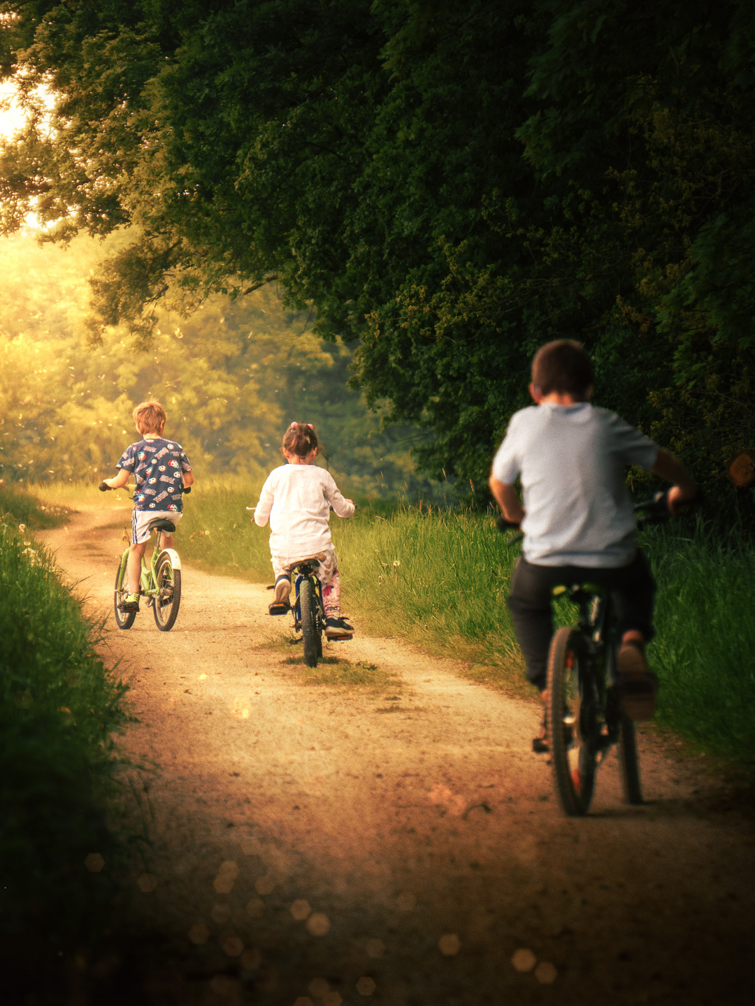 bfe2fec8-02c0-48d8-9c21-cdd3e1cfc708