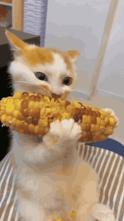 200b4672-a208-41ba-bc63-fb49dbd0b927