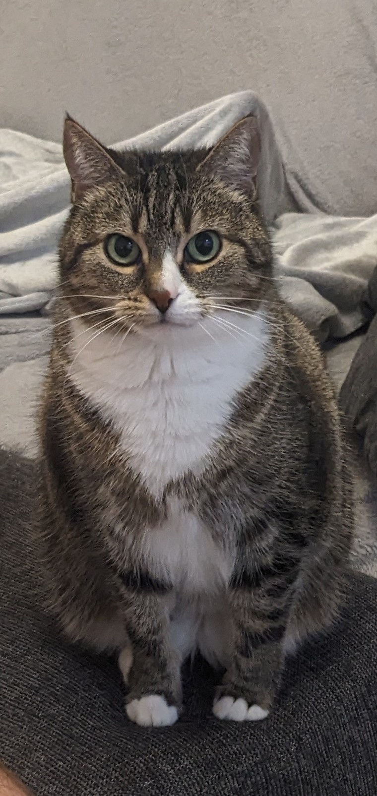 0d075065-ff8c-4c06-bd59-404540139eeb