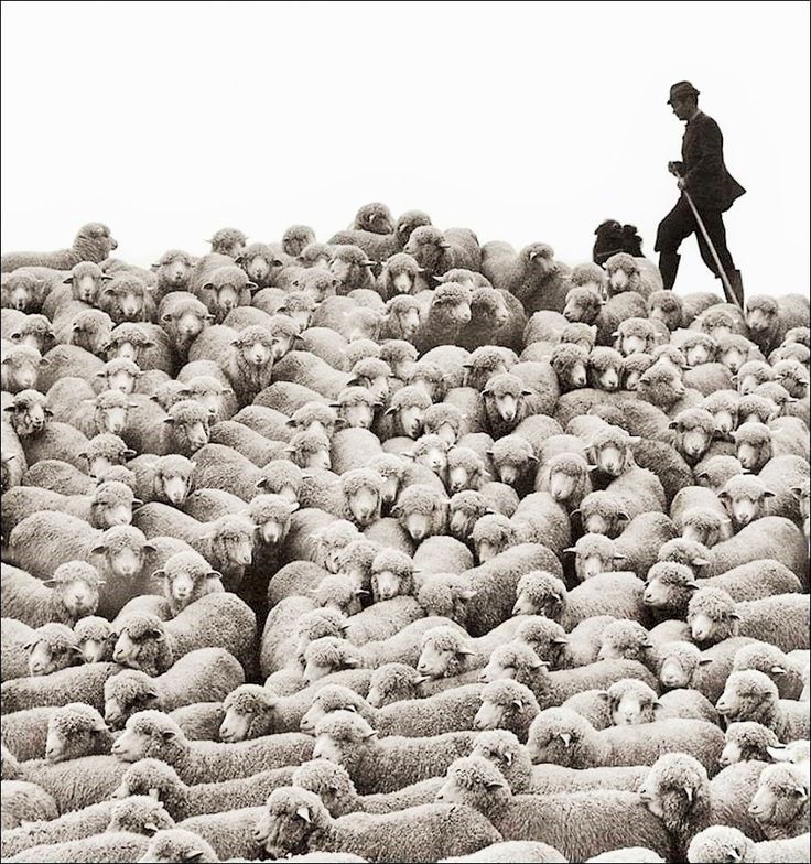 bff5ccf3-e3cd-446a-b60f-fe36ba5de93d