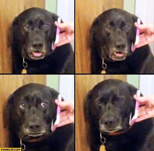 70d8080c-9dd2-47e8-9091-a9d3c2f37ef8