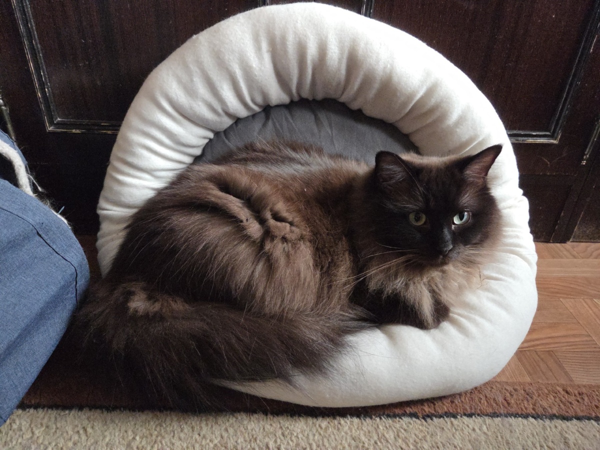 66439058-533c-4c6e-9c8f-9522cb546796