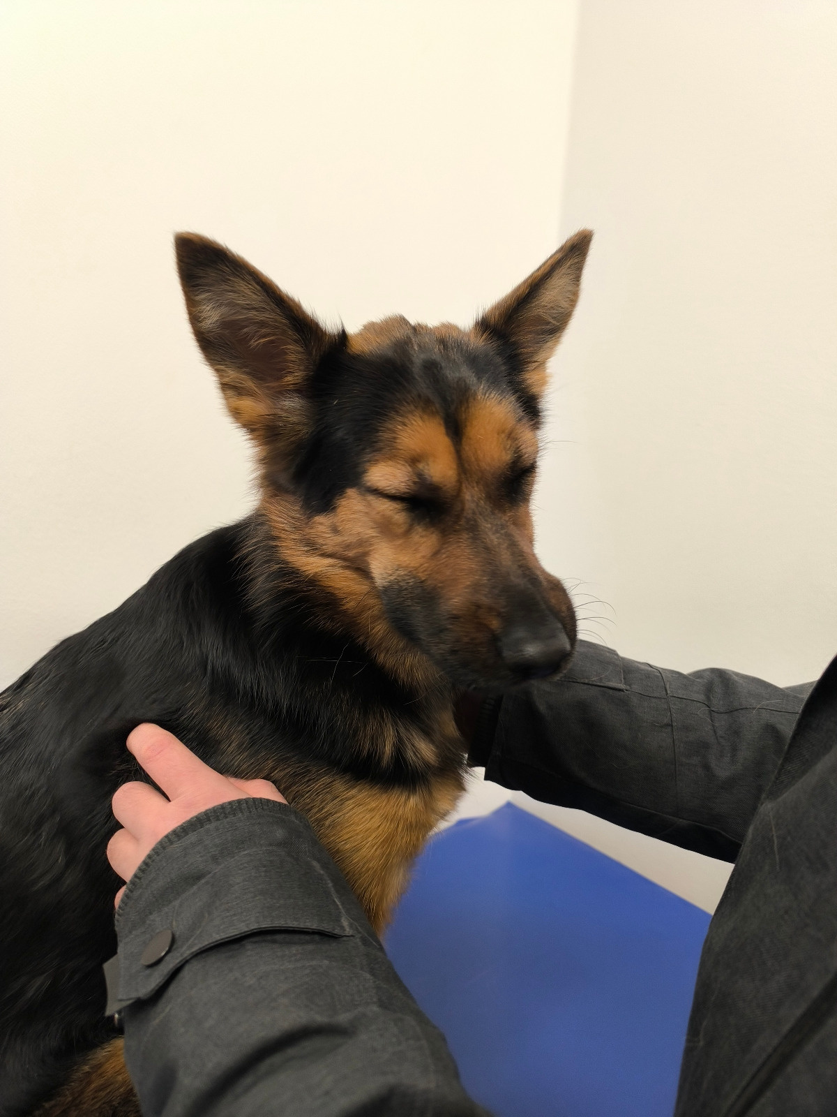 4675c1bd-2ddd-42dc-a471-a579e5a656aa