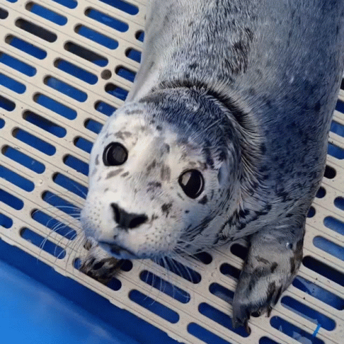 da059901-b092-4da6-a602-8f1ebfb55046