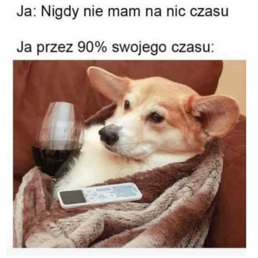 b914700c-e05f-4cc7-a136-6659b52d2512