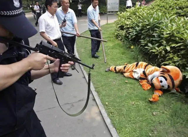 749575ef-2809-4396-b746-682a631cc4be