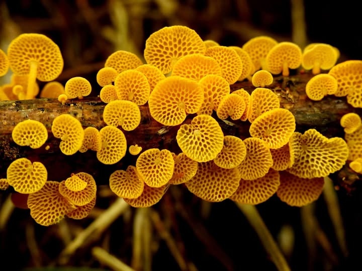 4893c9ca-d208-4673-ac55-702399853053