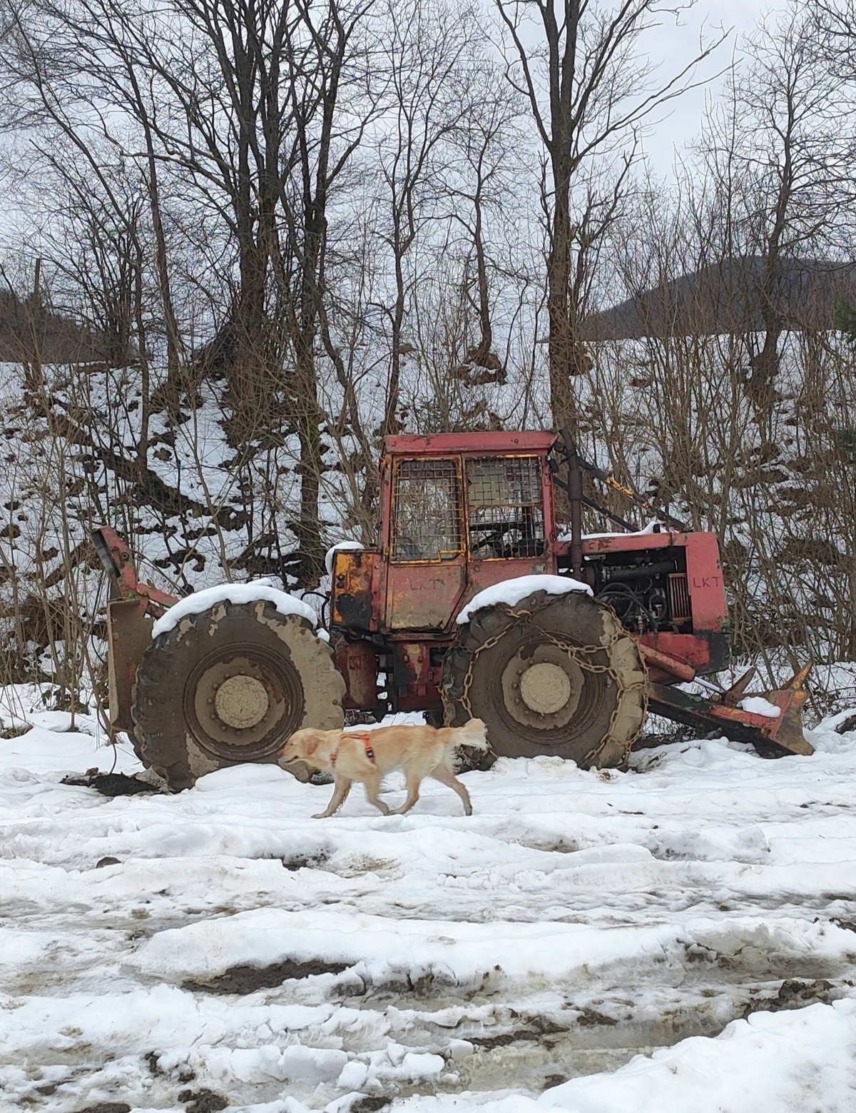 ff4dda1c-70fe-40cf-9984-68959c7423b4