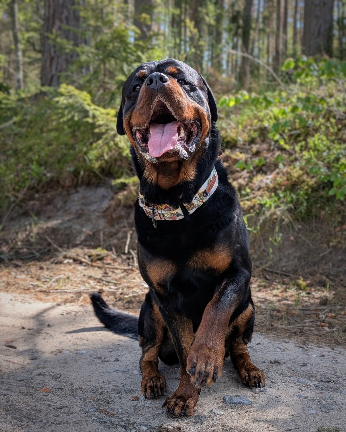 f678dc53-e175-429e-8077-6c6eea89f883