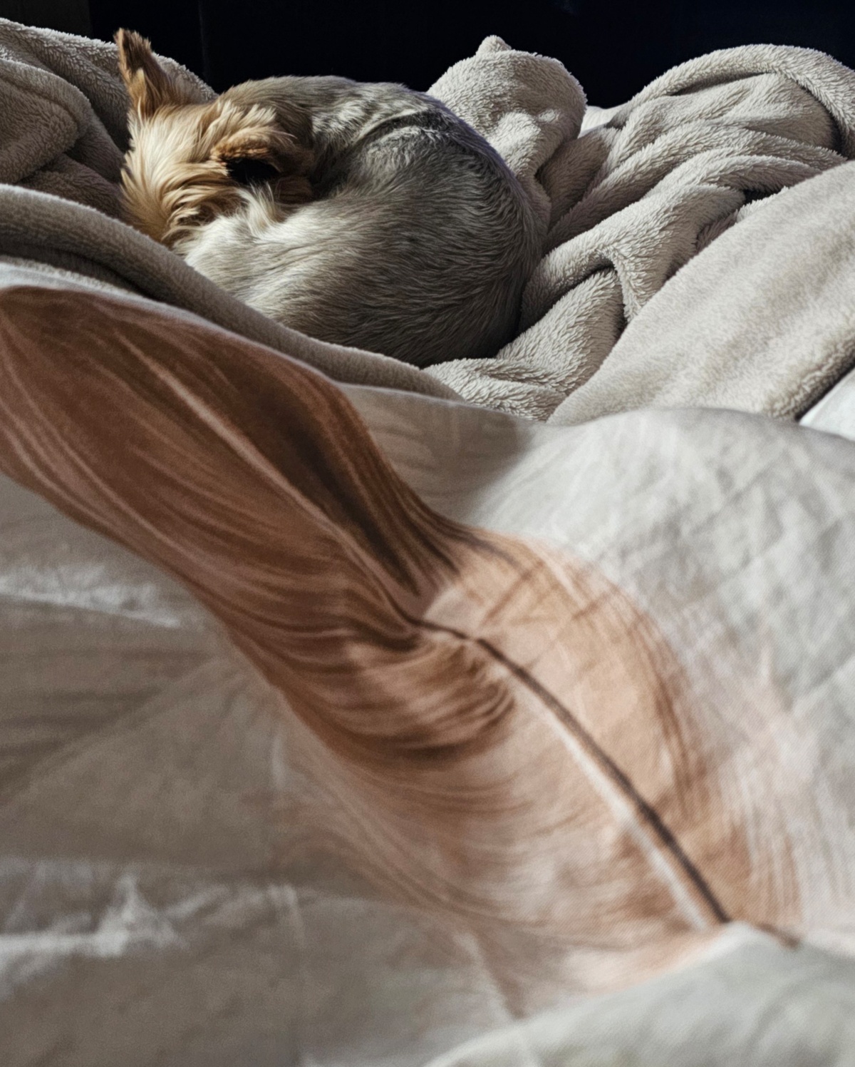 283ac73f-b2ca-4a14-8771-59aabcc25dea