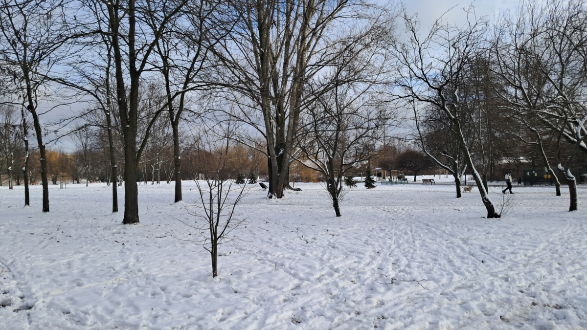 92a46935-24d9-4163-84fd-bead92f195ec