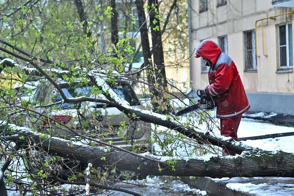 742861d8-e443-493e-abb1-15ee3c6060f8