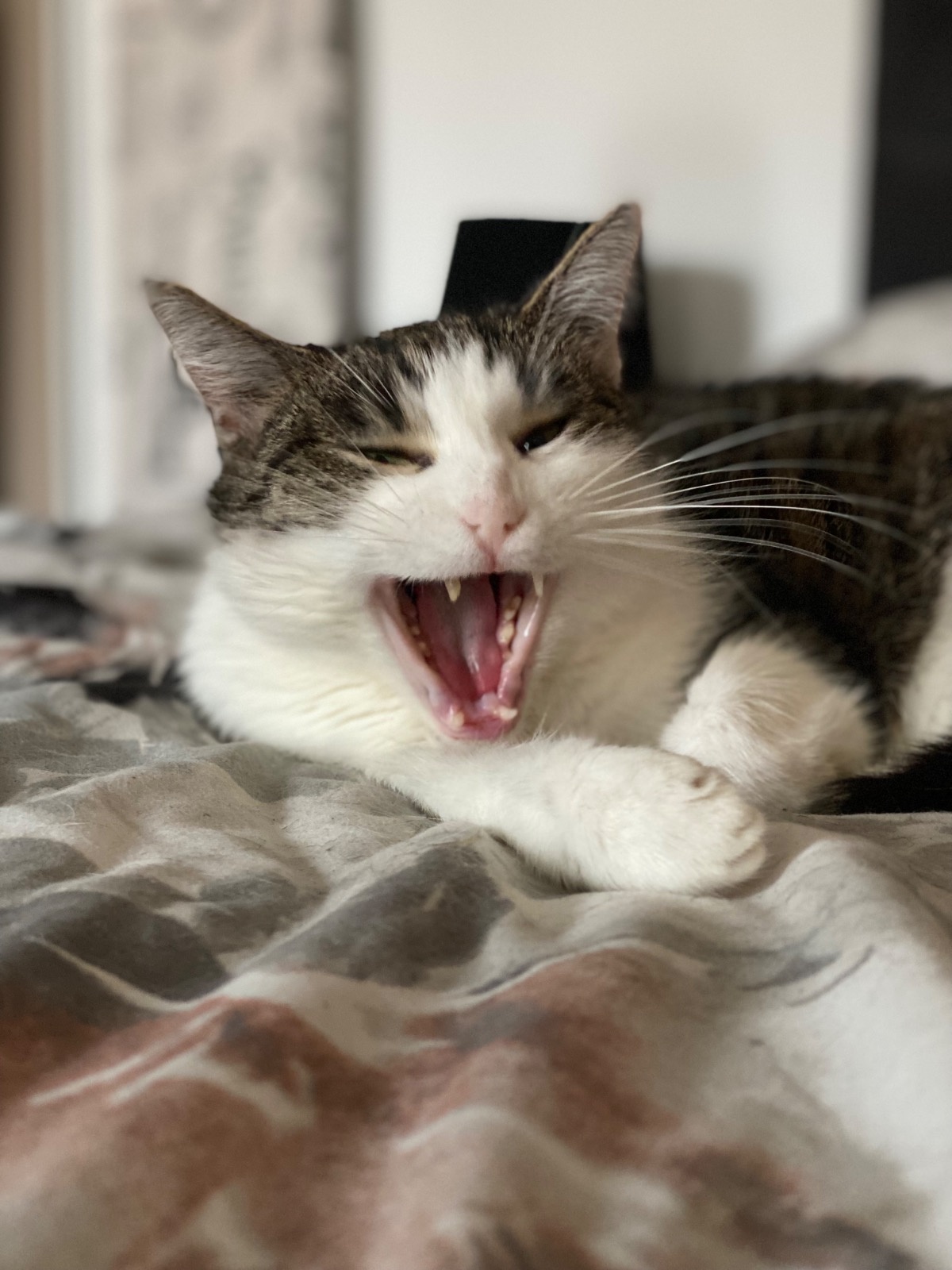 7b92a861-ea95-475c-a9f7-75bdbe08b737