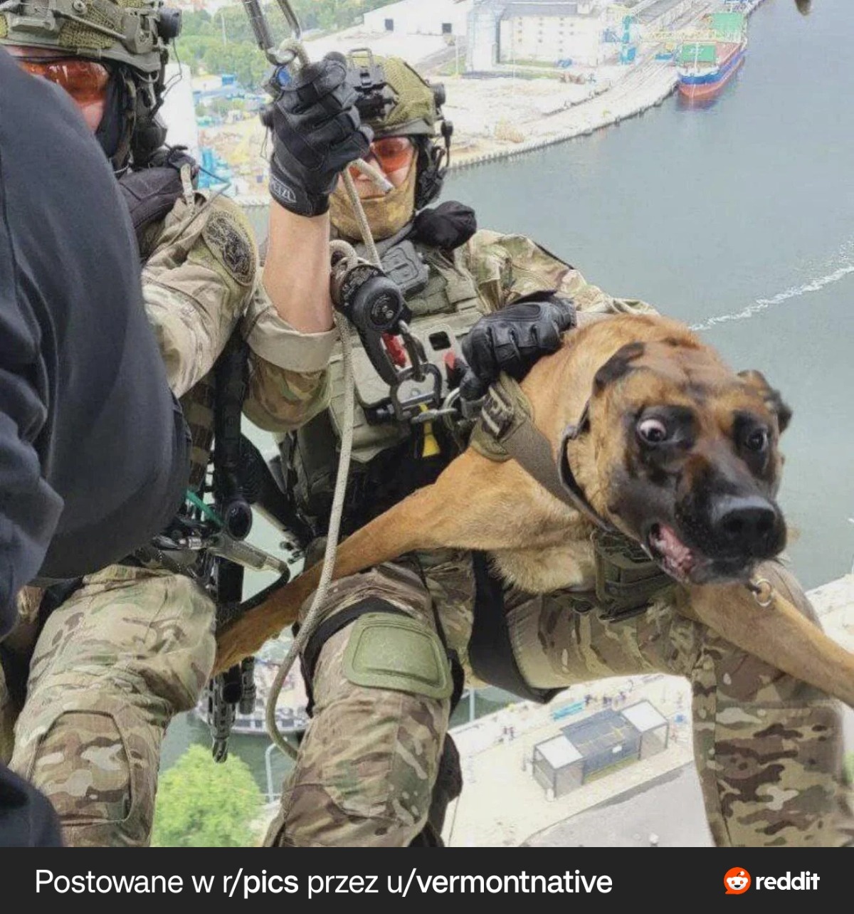 1251c80b-9387-4b8f-8059-e8d2c0ceb52f