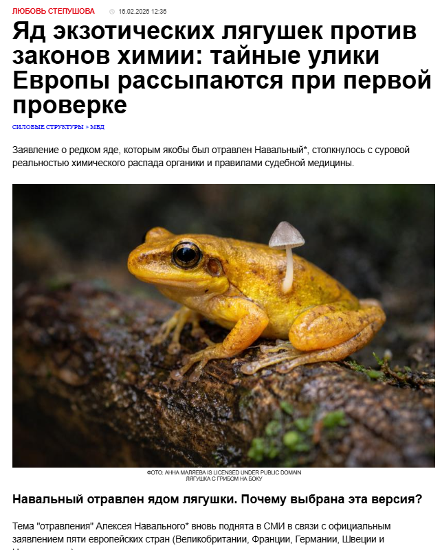 61113d02-1435-445e-bb6b-9ebe0a7292a6