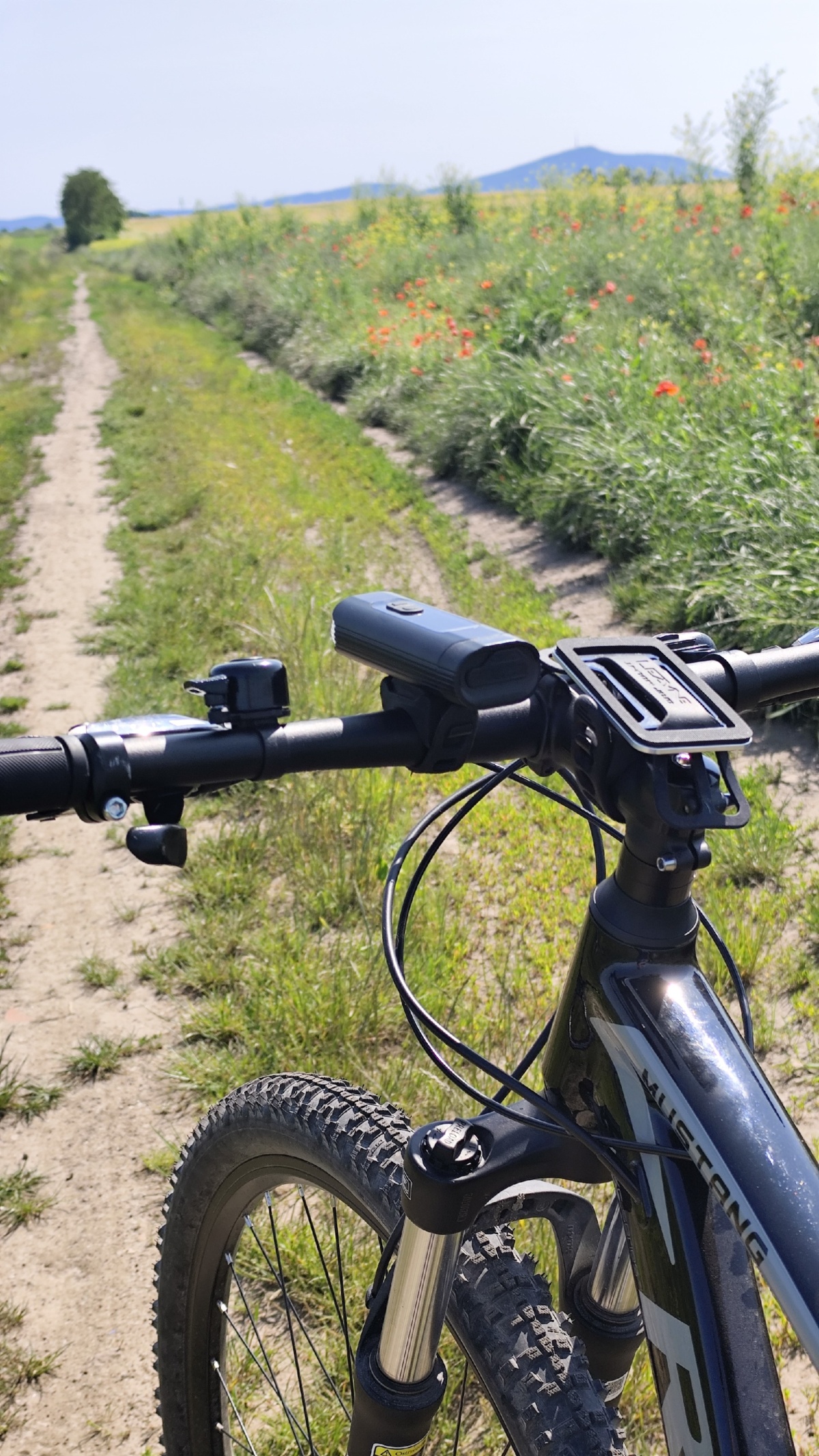 c07511d6-2190-4616-acb3-4dfb4d0b55bf