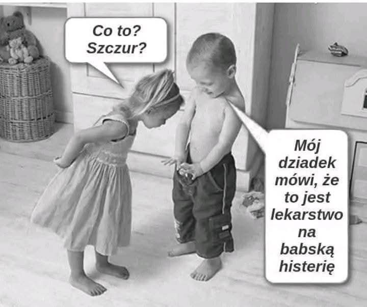 77bb2092-e65f-4ff4-a937-542ca65d8491