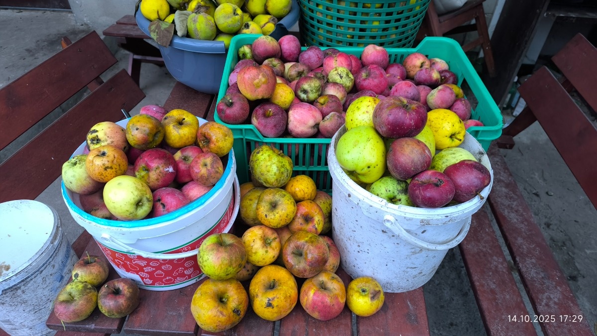 28447a52-3a00-44a2-b3a6-7196983fa3de