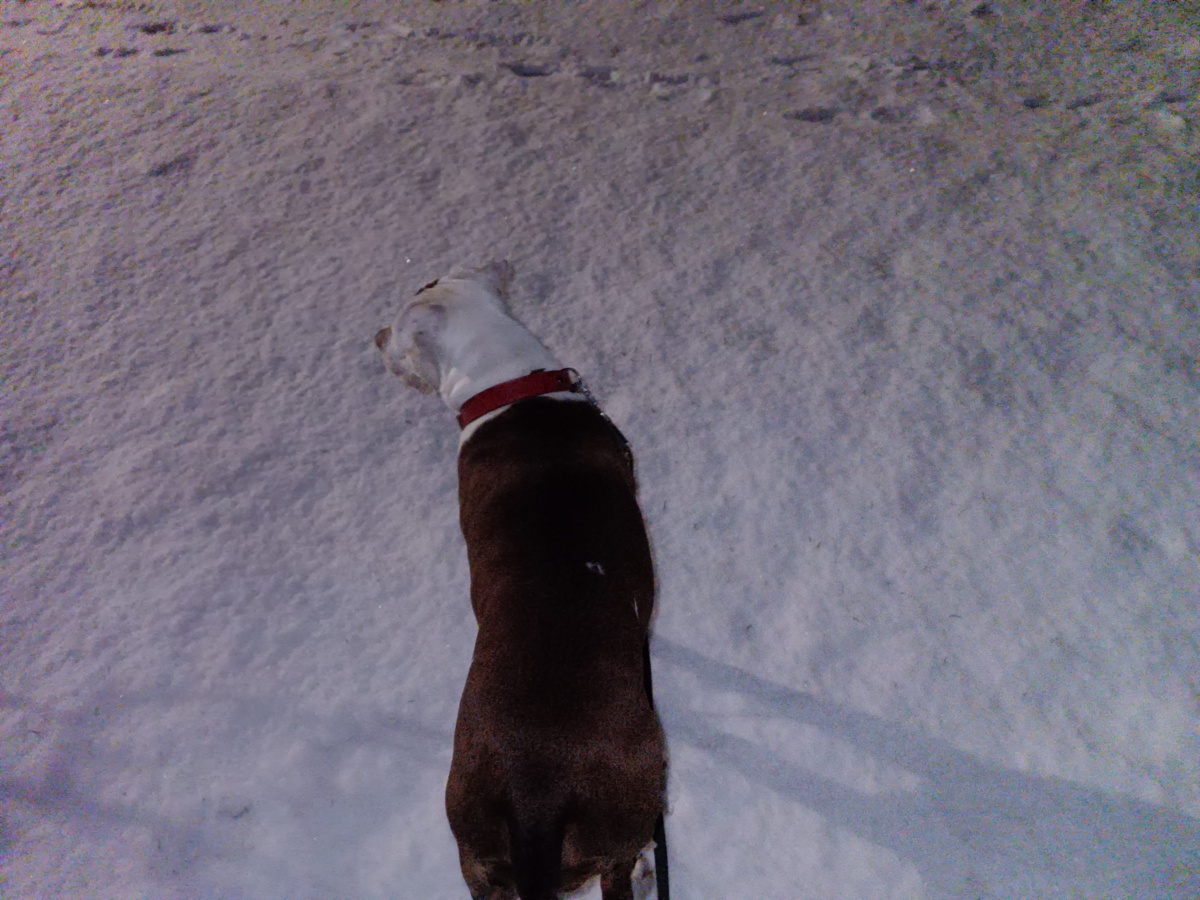 b3fb1290-3e61-4a14-b3b9-139dc9e39584