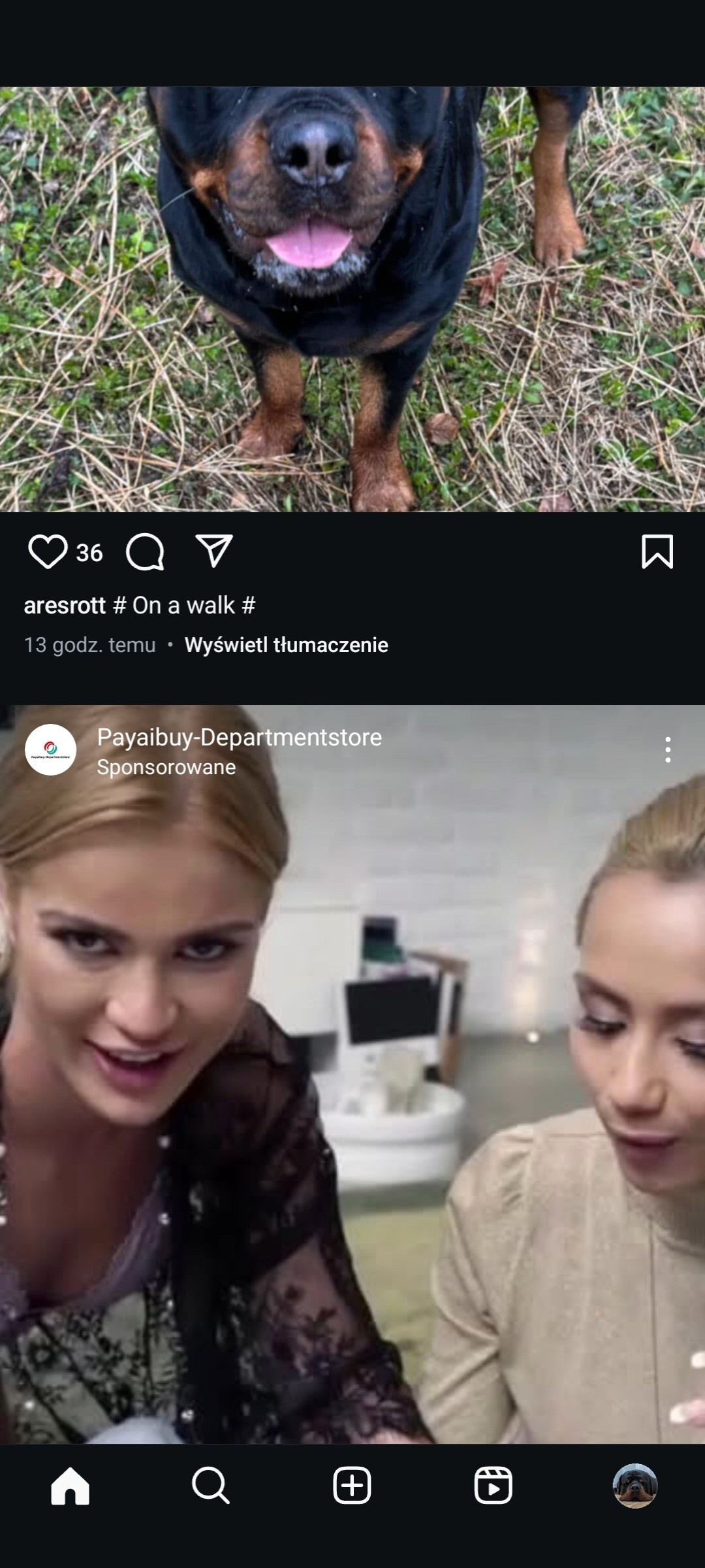 4a054f9f-d33d-44df-9828-0cd2c0f0e732