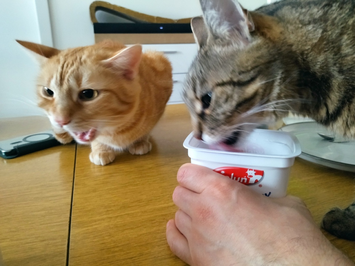 59e51b23-99f9-492c-ab74-711392b8df85