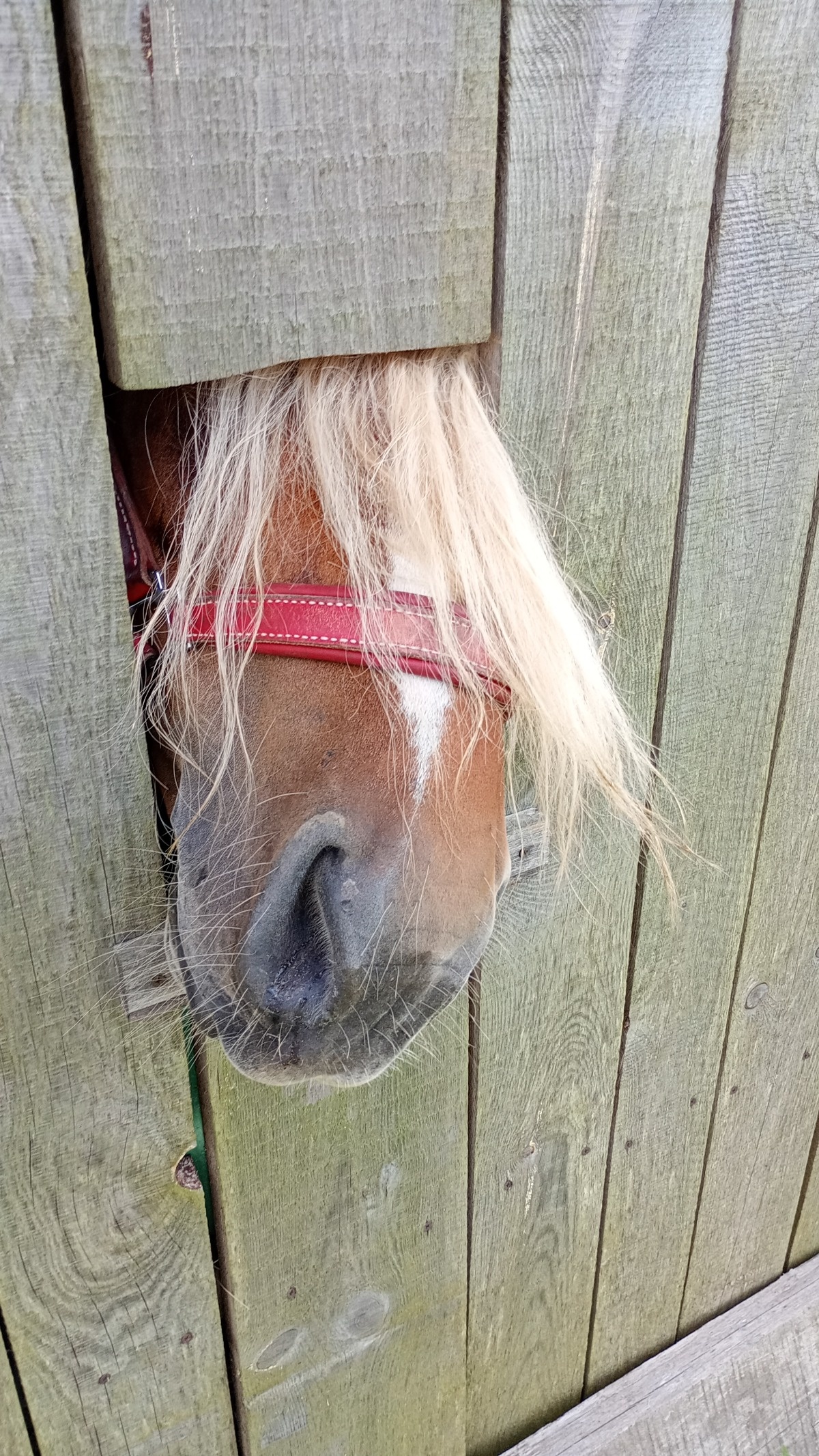 ae2514bb-73b4-4830-9603-eba595e6575e