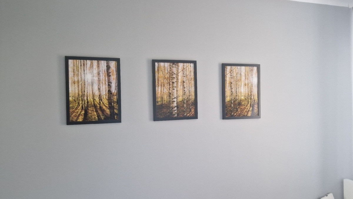 475f5731-b6d6-4557-814c-80685f4d0ca2