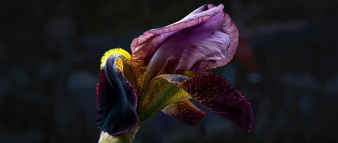 057bdd20-b1dc-407e-8ec6-e0d8f3faa834