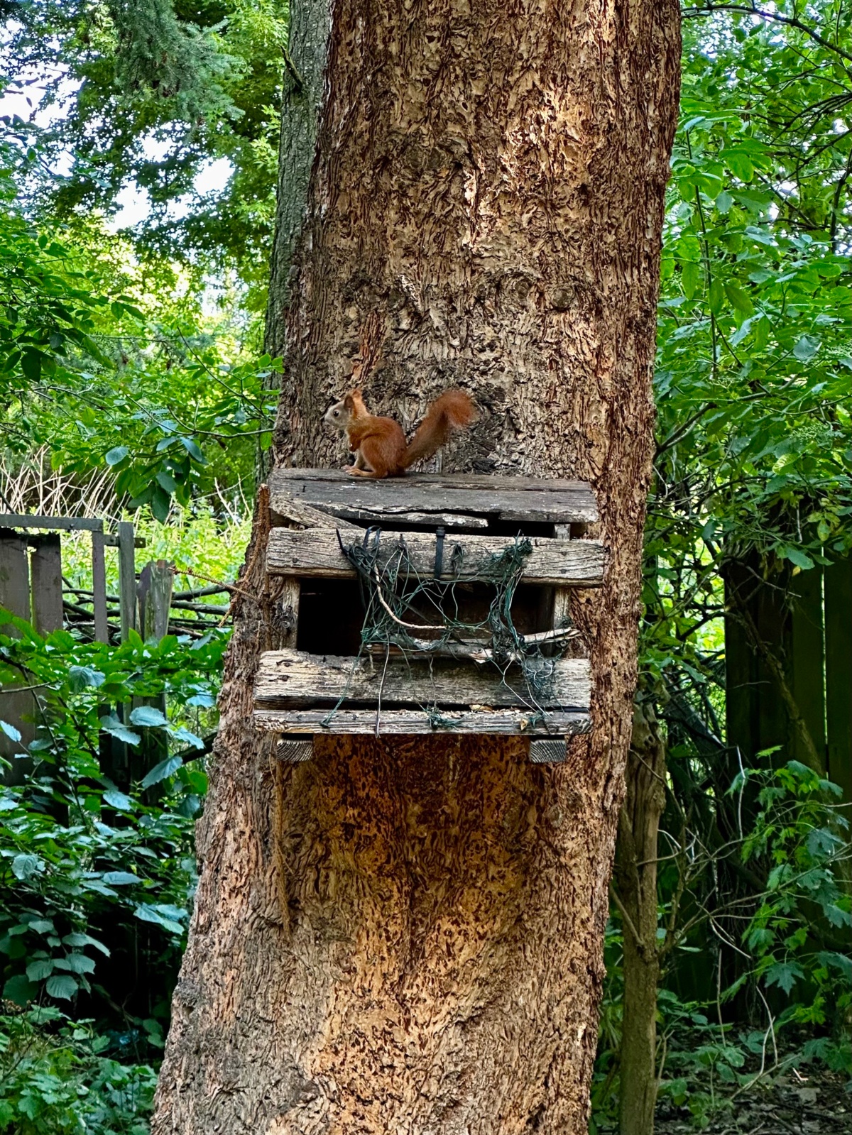 364d537b-99d7-4bac-b6a0-b2a98938901a