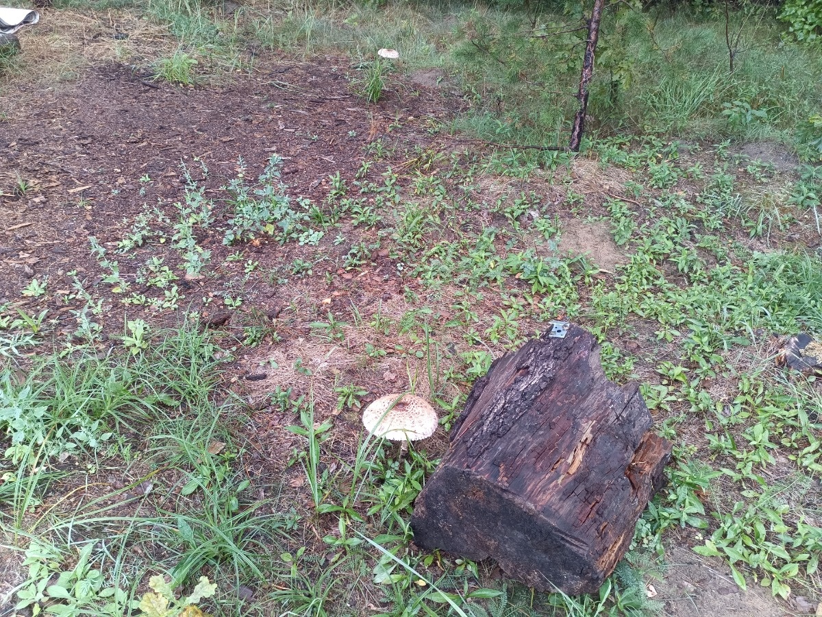 db49d194-f481-4713-b373-7e82e7439fe5