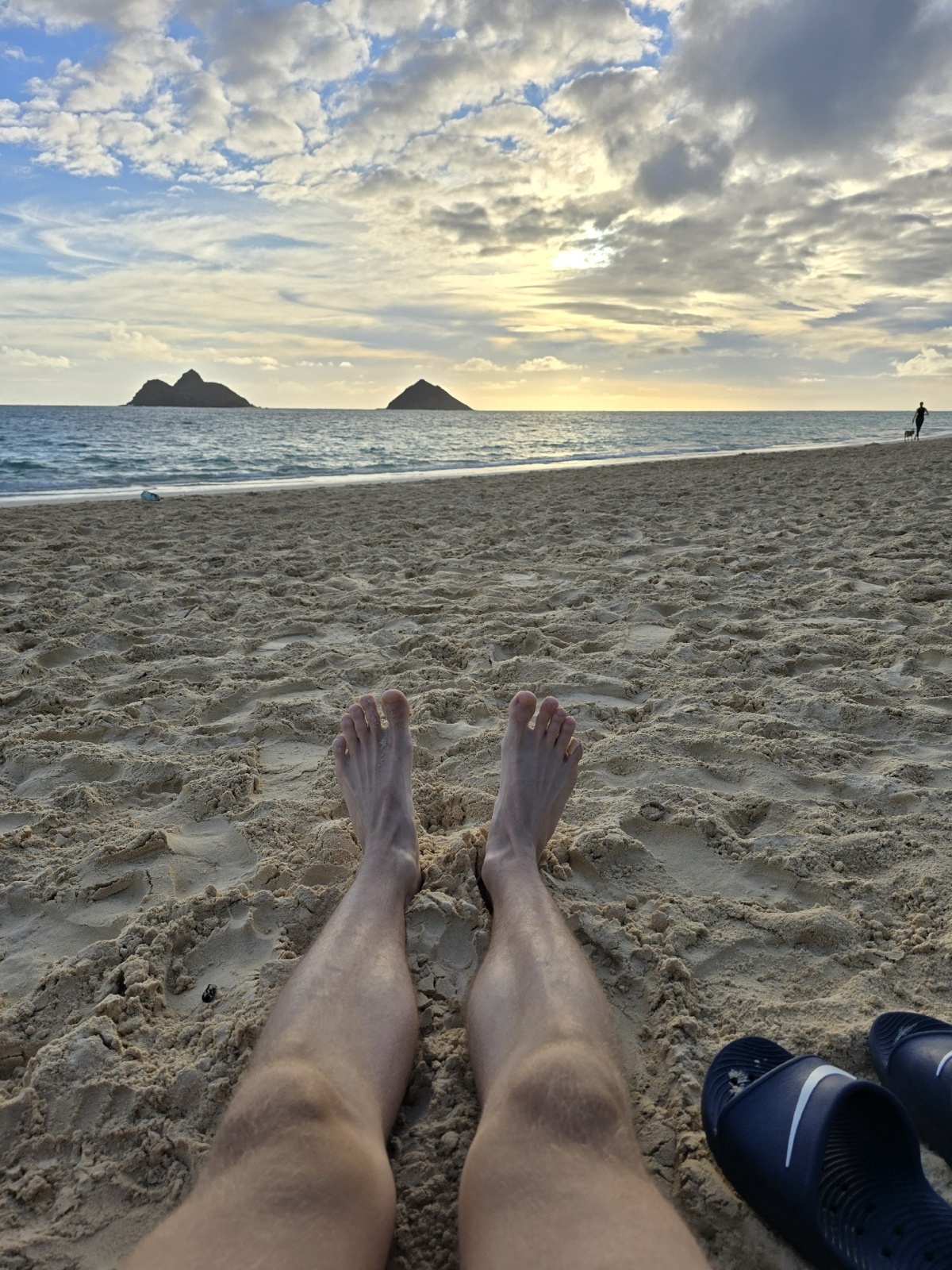 9dc7efc3-df72-4e89-9709-018fc17f2f45