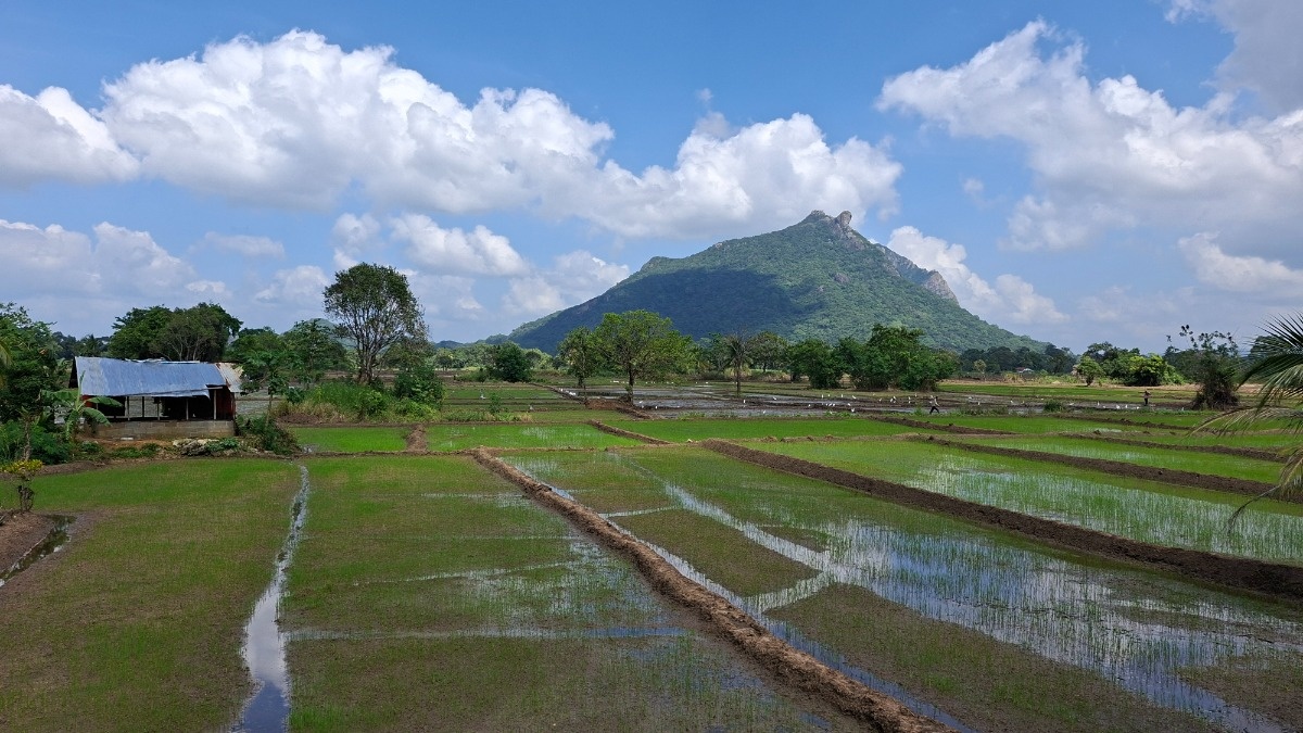 91018ca6-7c27-4d86-a5ad-fb2d19c73e1d