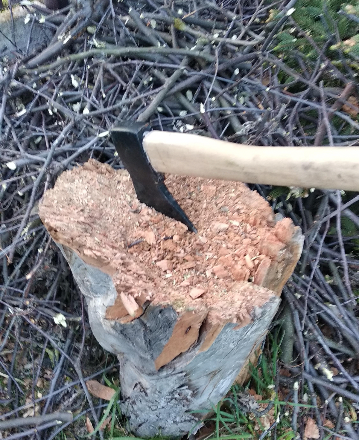 ee92aef3-85dd-4da3-81bc-6f1dde9bff78