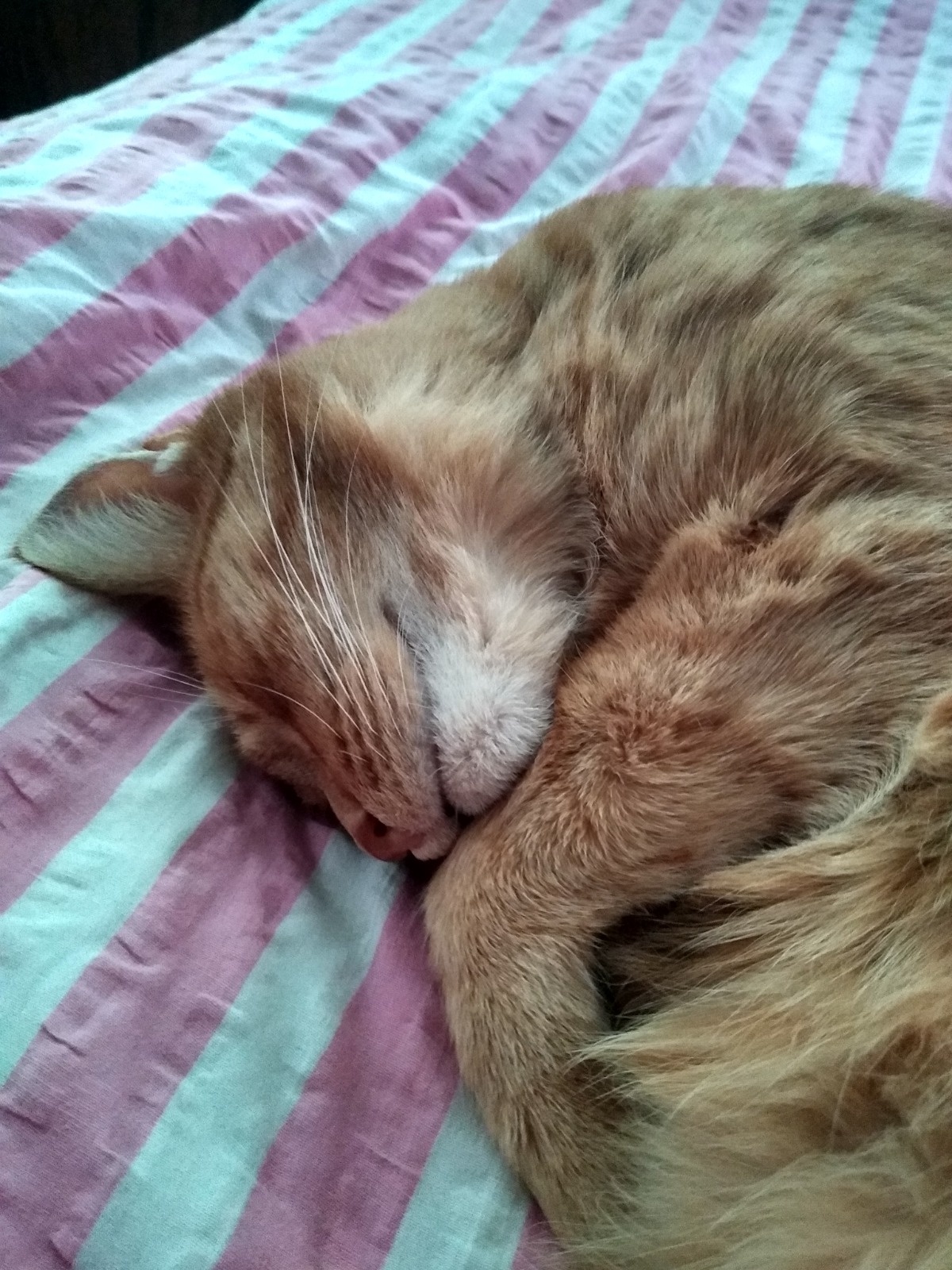 6bba8e93-4845-414d-94a3-8f4ae3d261af