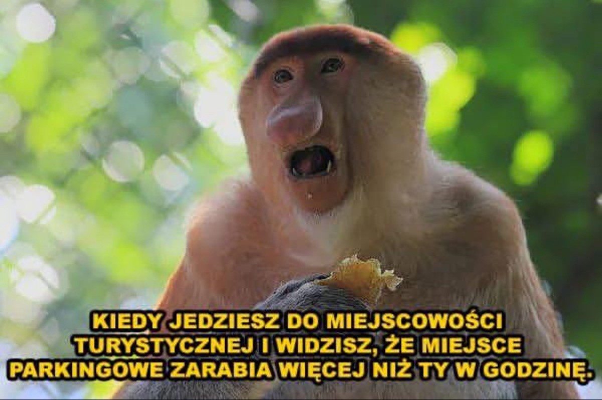 bb18c155-4cad-4688-80a3-623f16cdd26e