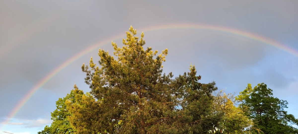 11b28f7b-fd95-4dd9-8c74-d1ae0ebc0935