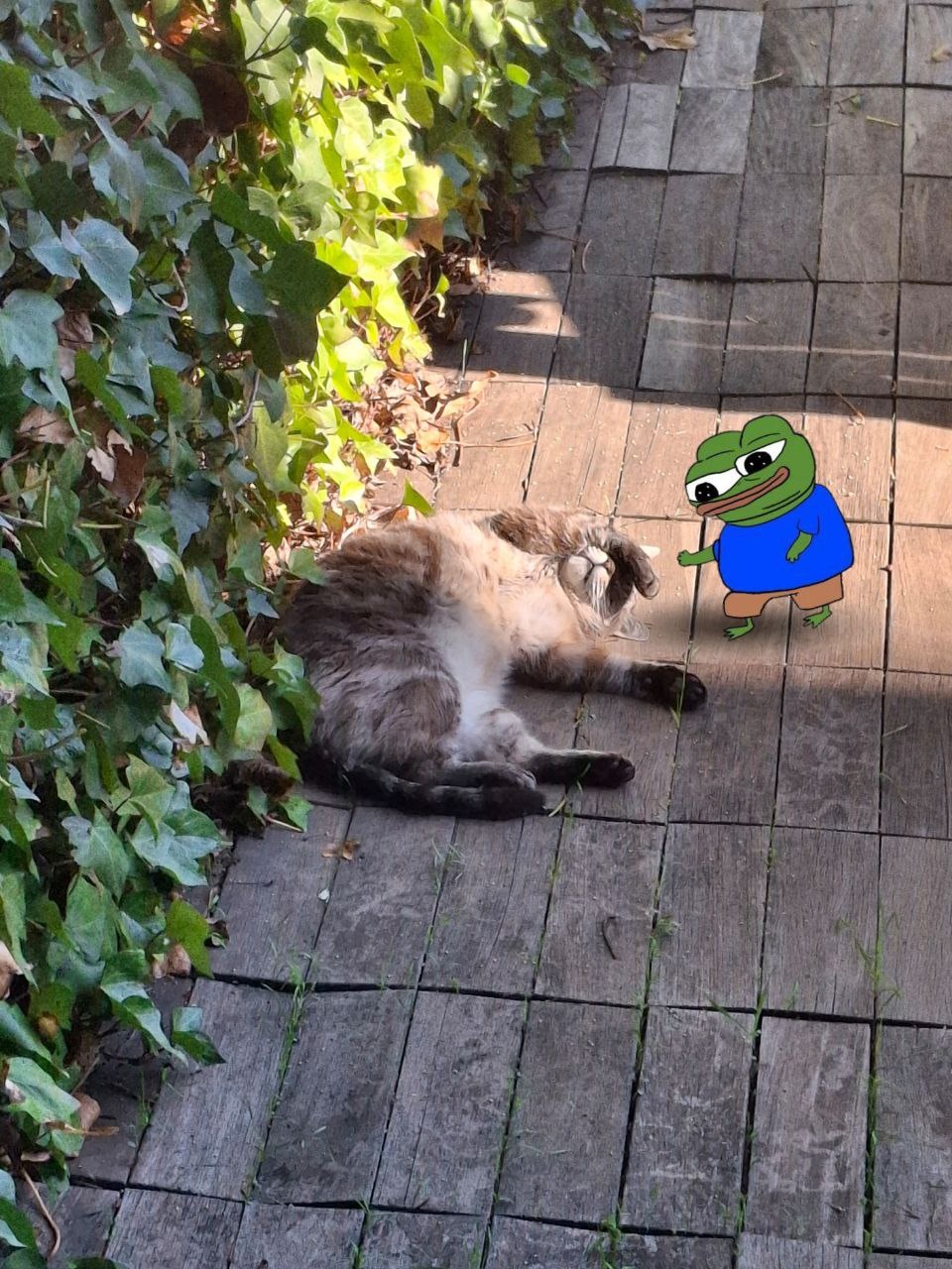 4f7fc688-8eac-4490-b677-6693d3a46d4d